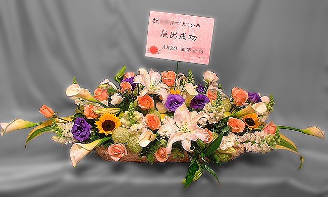 B013展場、開幕盆花