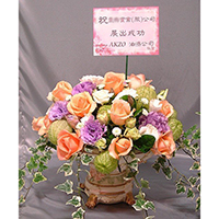 B015展場、開幕盆花