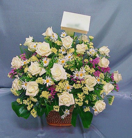 B022祝賀、示愛盆花