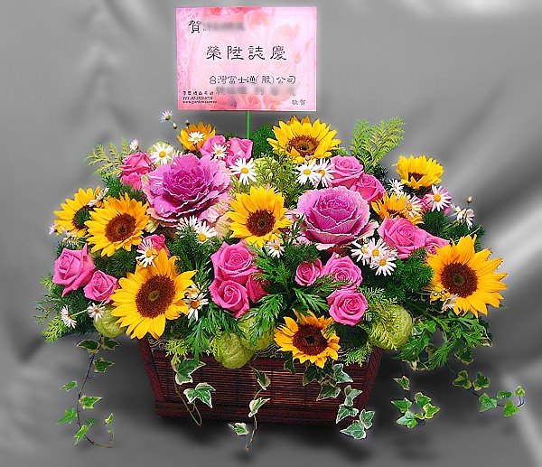 B023祝賀、陞遷盆花