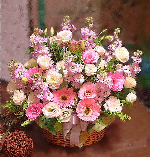 B032祝賀、生日盆花
