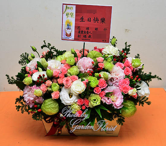 B169祝福生日盆花