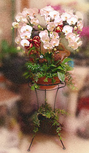 E075喜慶、追思蘭花