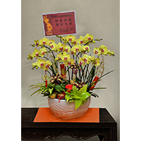 E139喜慶蘭花