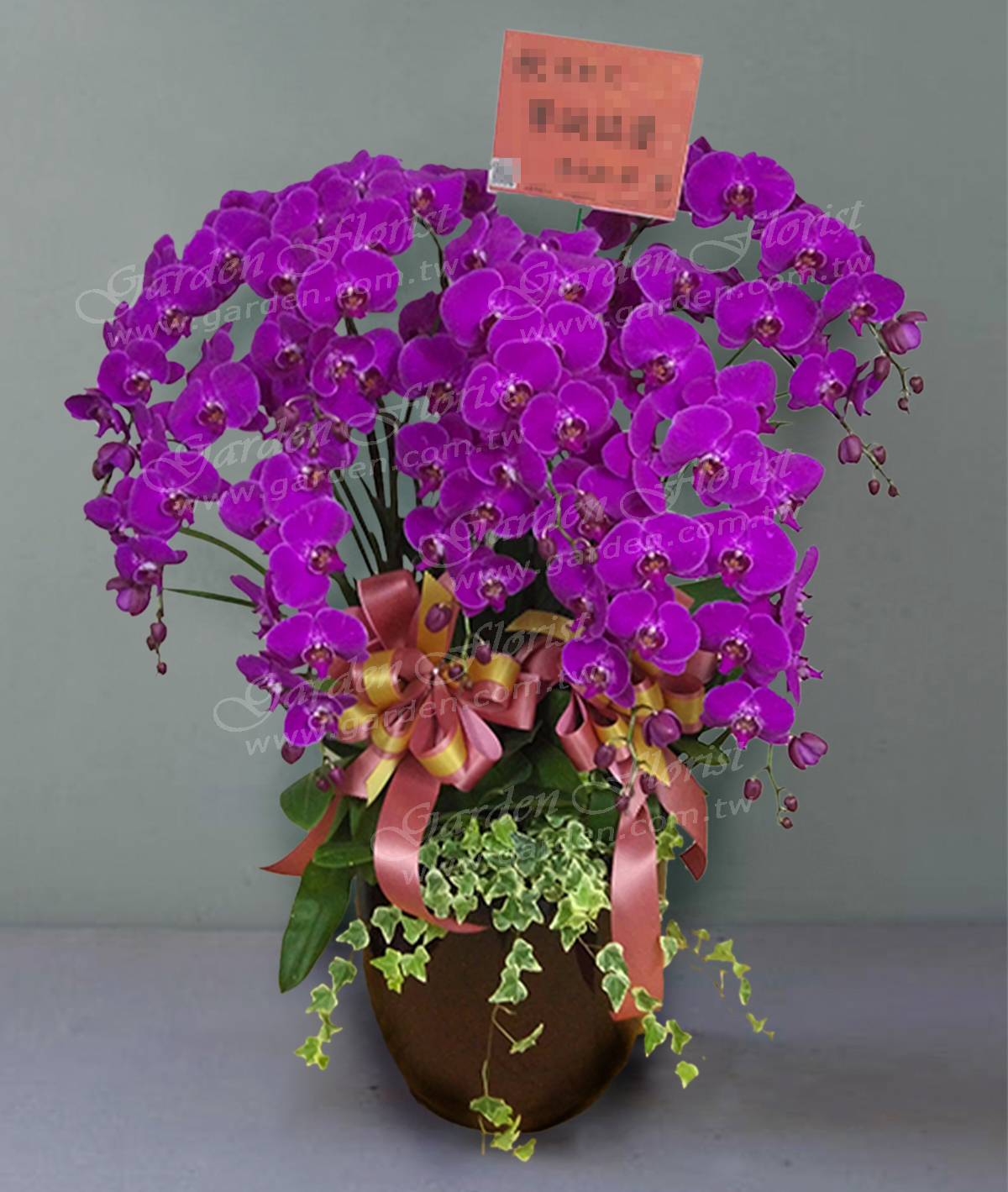 E140喜慶蘭花